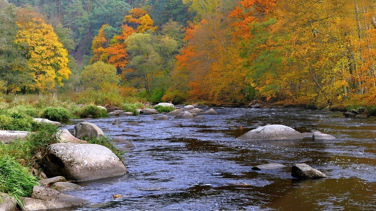 Podzim na Sázavě - Stvořidla