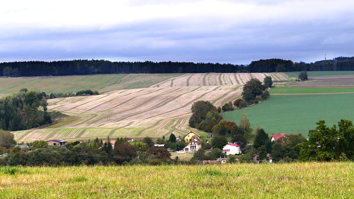 Vysočina u Dolní Krupé