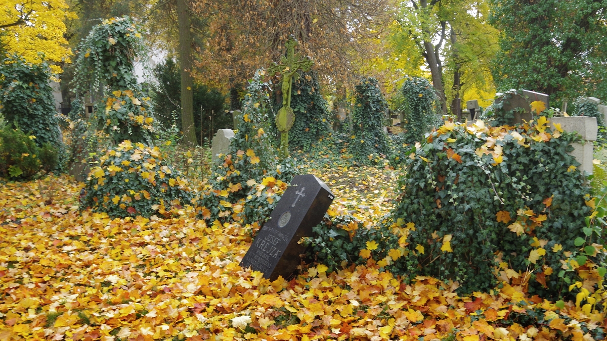 Zahrady ticha a zapomnění