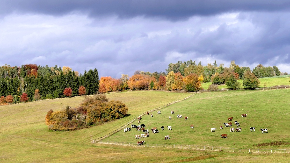 Podzim na Vysočině