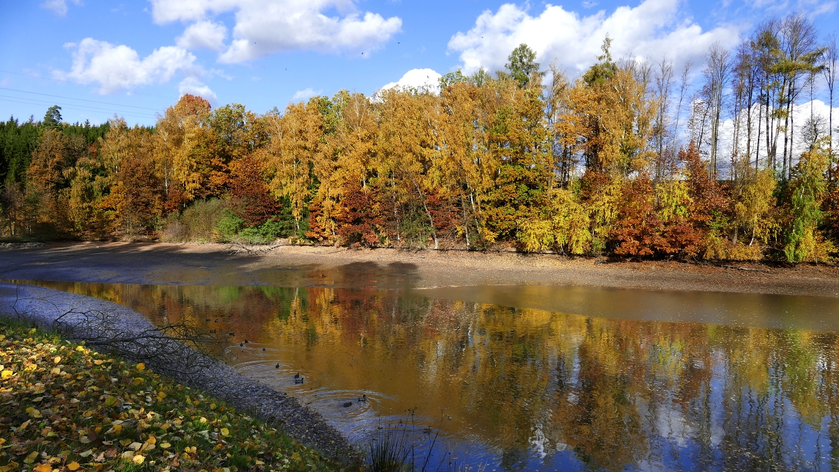 Vypuštěný Hajdovec