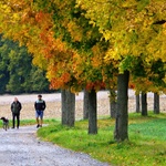 Podzimní procházka