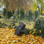 Zahrady ticha a zapomnění