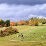 Podzim na Vysočině