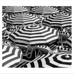 Vysněná dovolená...