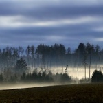 Večerní mlhy