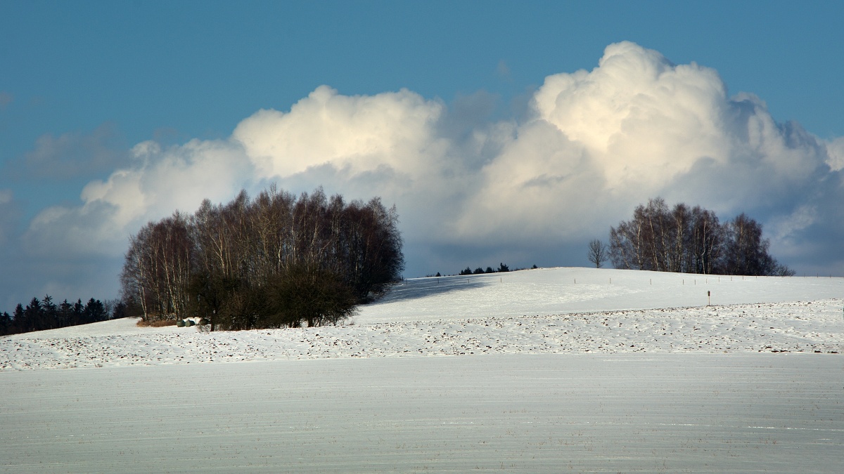 Vysočina u Zbožice