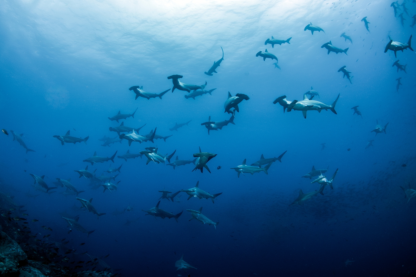 Galapágy listopad 2025