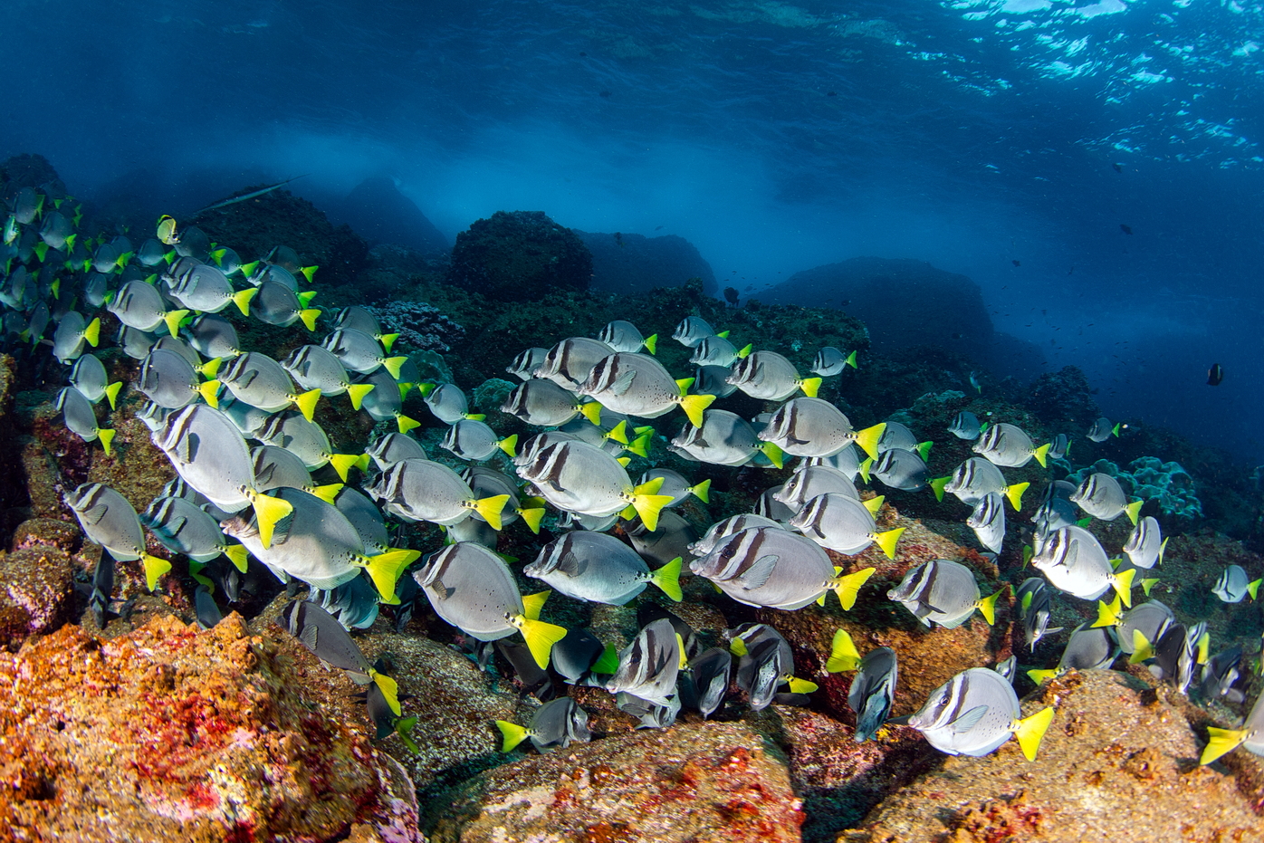 V příbojové zóně