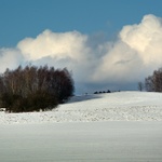 Vysočina u Zbožice