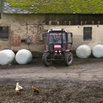 Na tom našem dvoře...