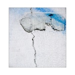 v zmi čínských draků