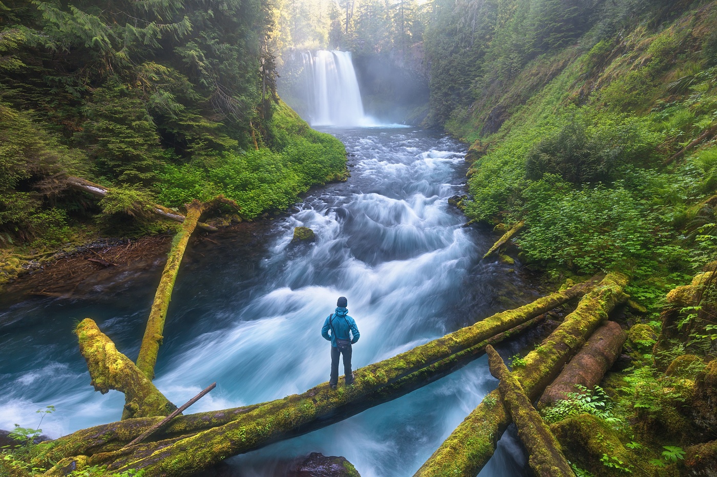 ... OREGON ...