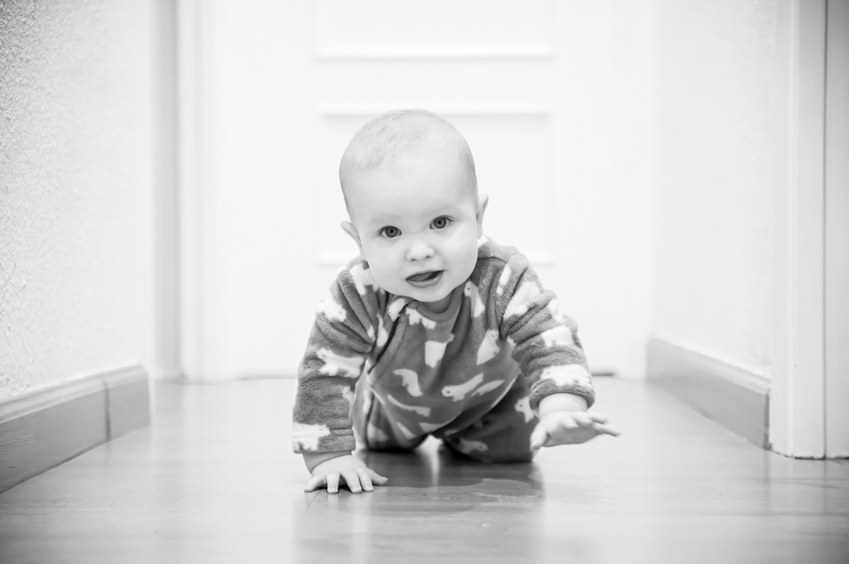 Every journey starts with a crawl…