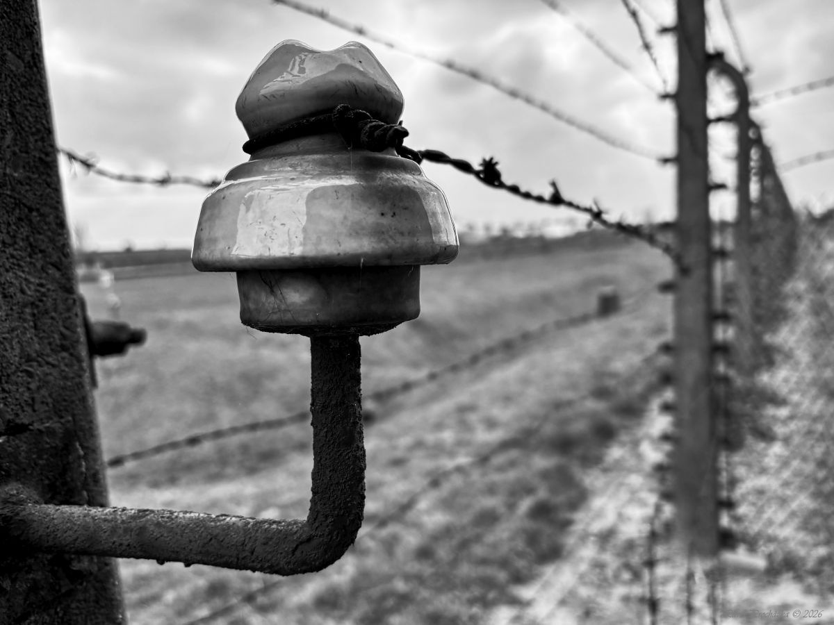 Auschwitz–Birkenau II