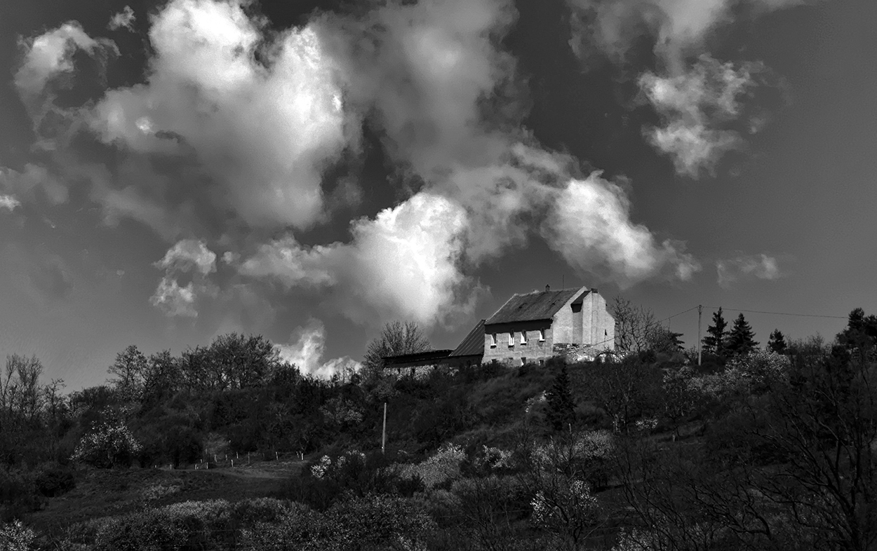 Skoro jaro