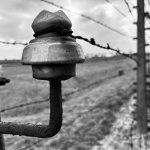 Auschwitz–Birkenau II