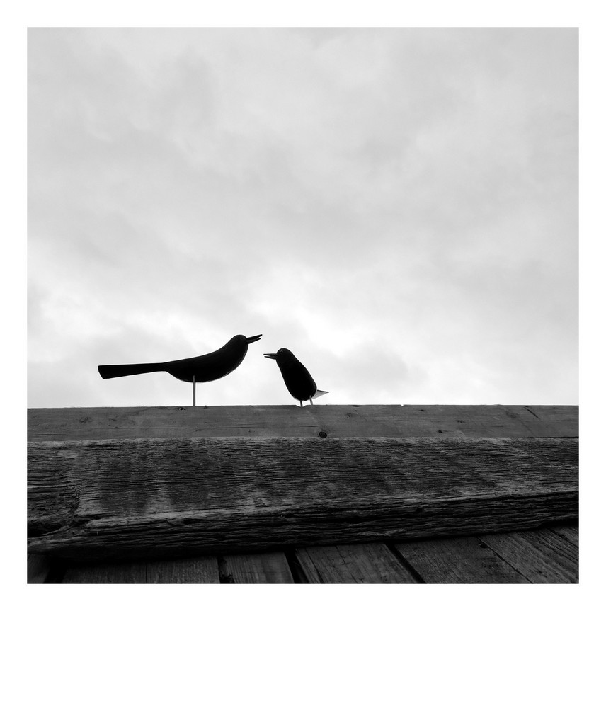 Dialog