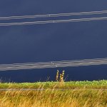Narušené linie