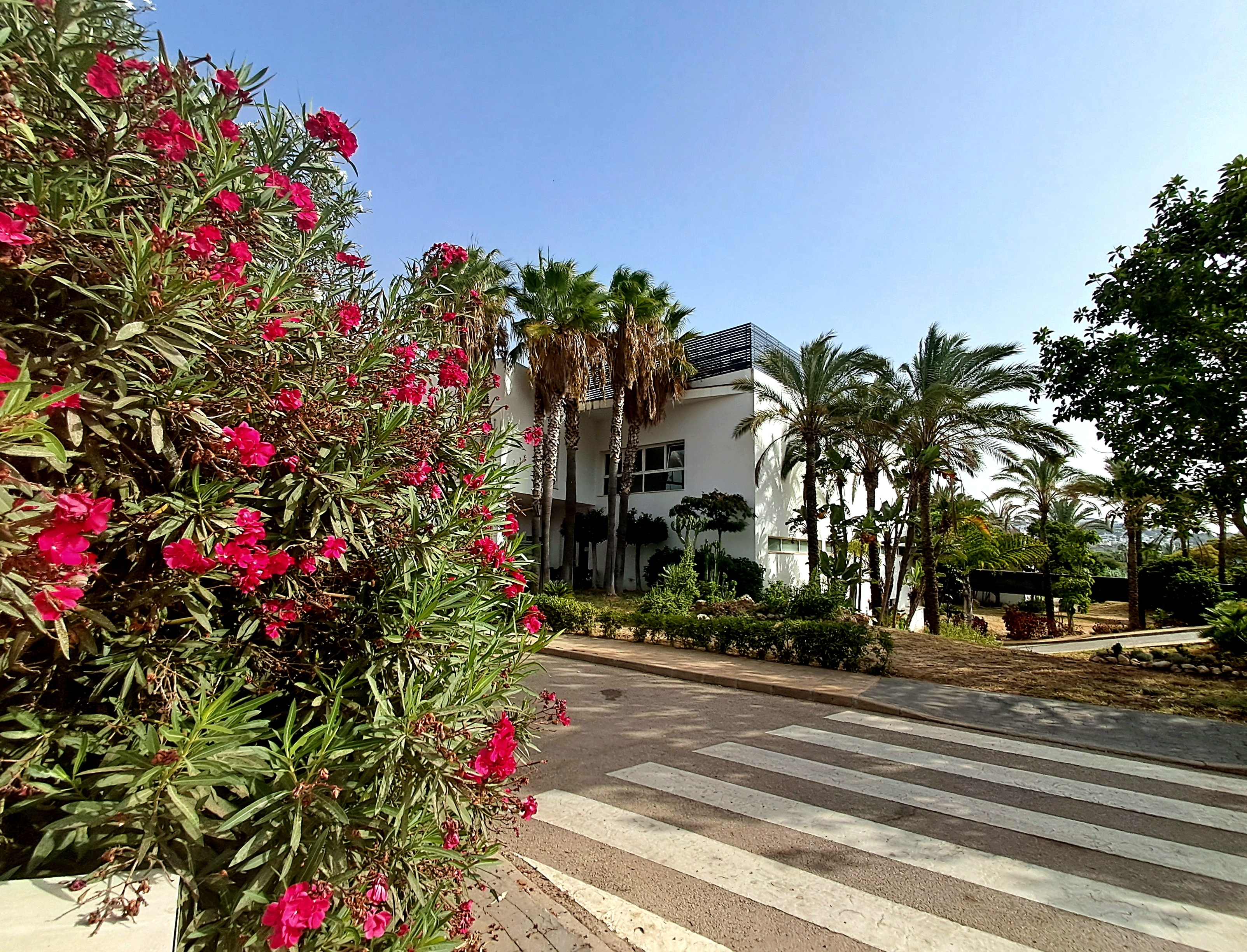Costa del Sol