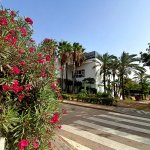 Costa del Sol
