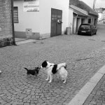 Setkání