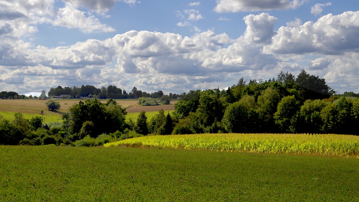 Vysočina u Zbožice