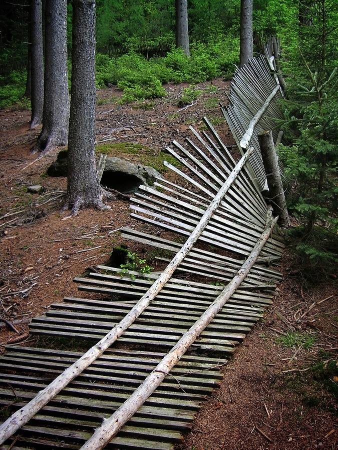 Lesní samoty