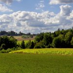 Vysočina u Zbožice