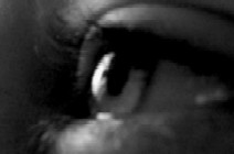 Zuzana Kelecsényiová