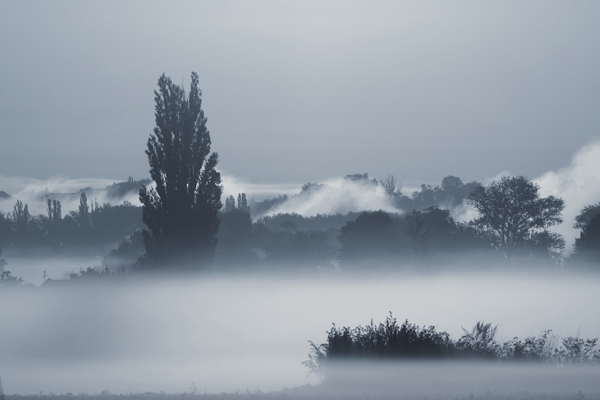 Příloha komentáře