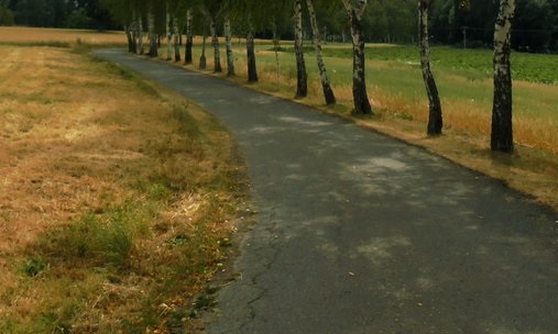 Příloha komentáře