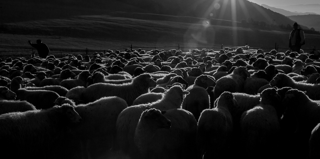 Příloha komentáře