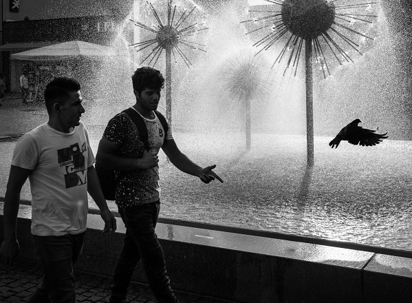 Příloha komentáře