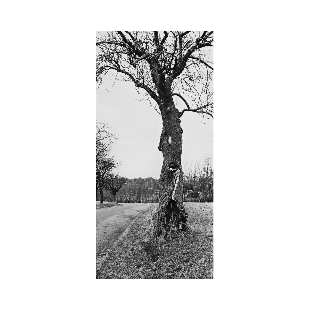 Příloha komentáře