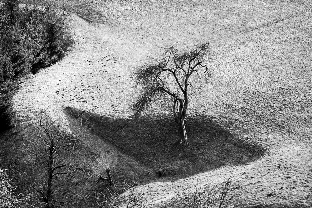 Příloha komentáře