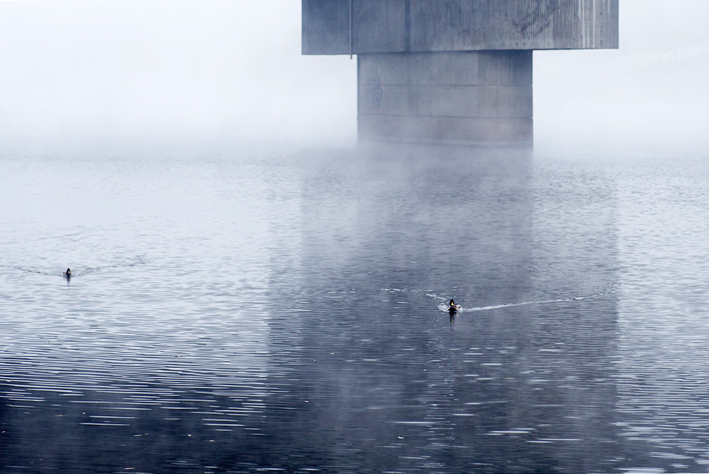 Příloha komentáře