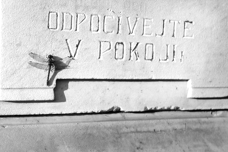 Příloha komentáře