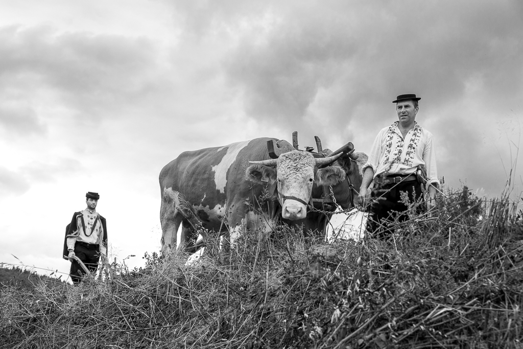 Příloha komentáře