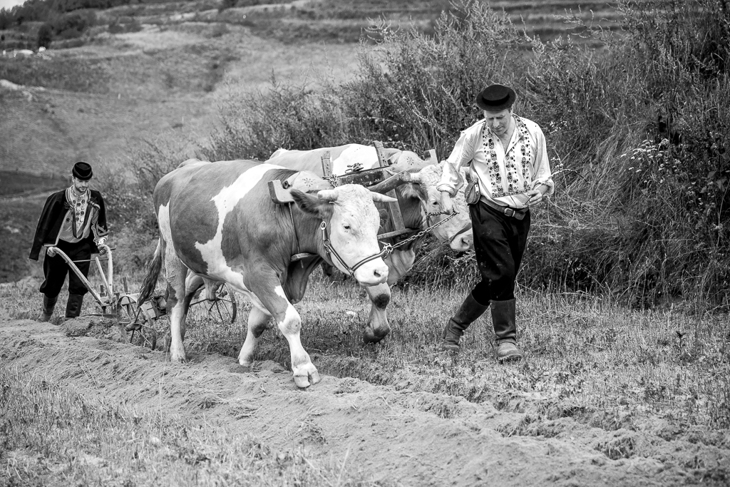 Příloha komentáře