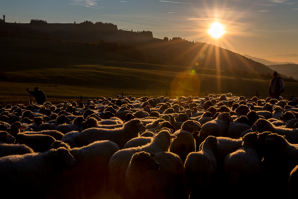Příloha komentáře