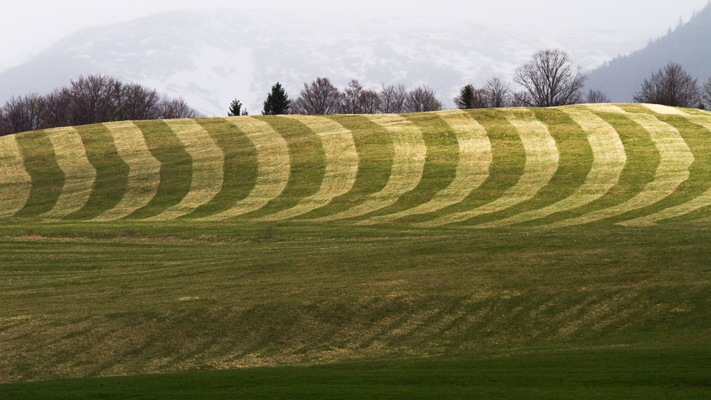 Příloha komentáře