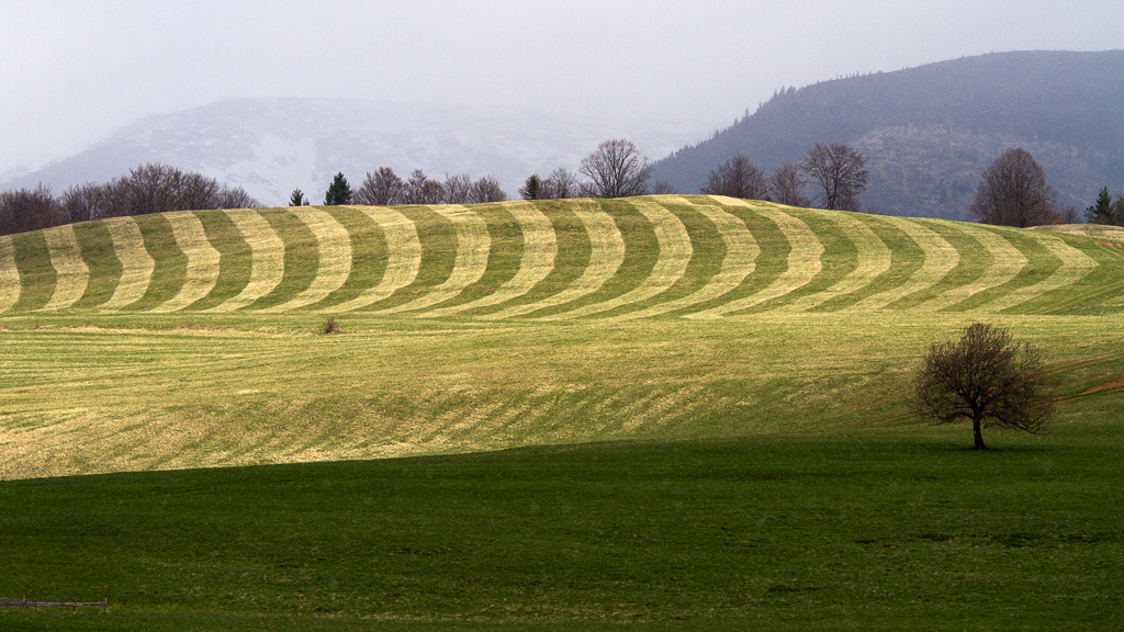Příloha komentáře