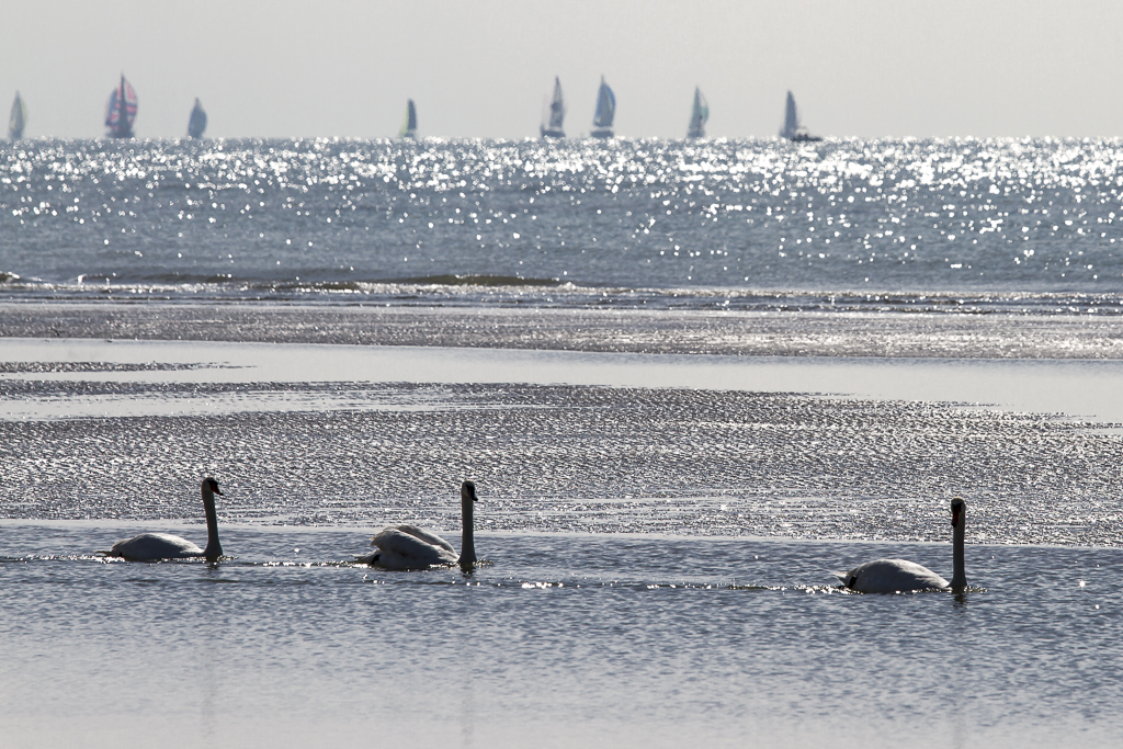 Příloha komentáře