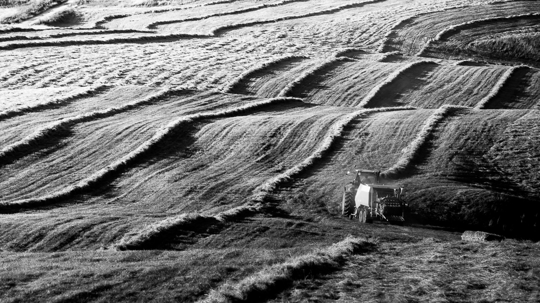 Příloha komentáře