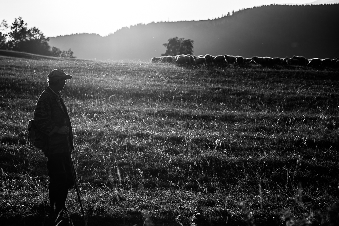 Příloha komentáře