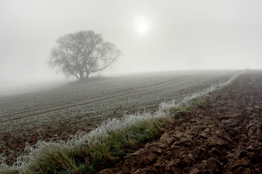 Příloha komentáře