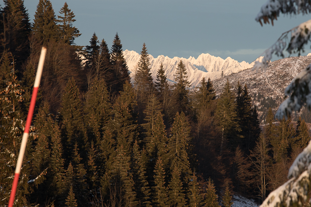 Příloha komentáře