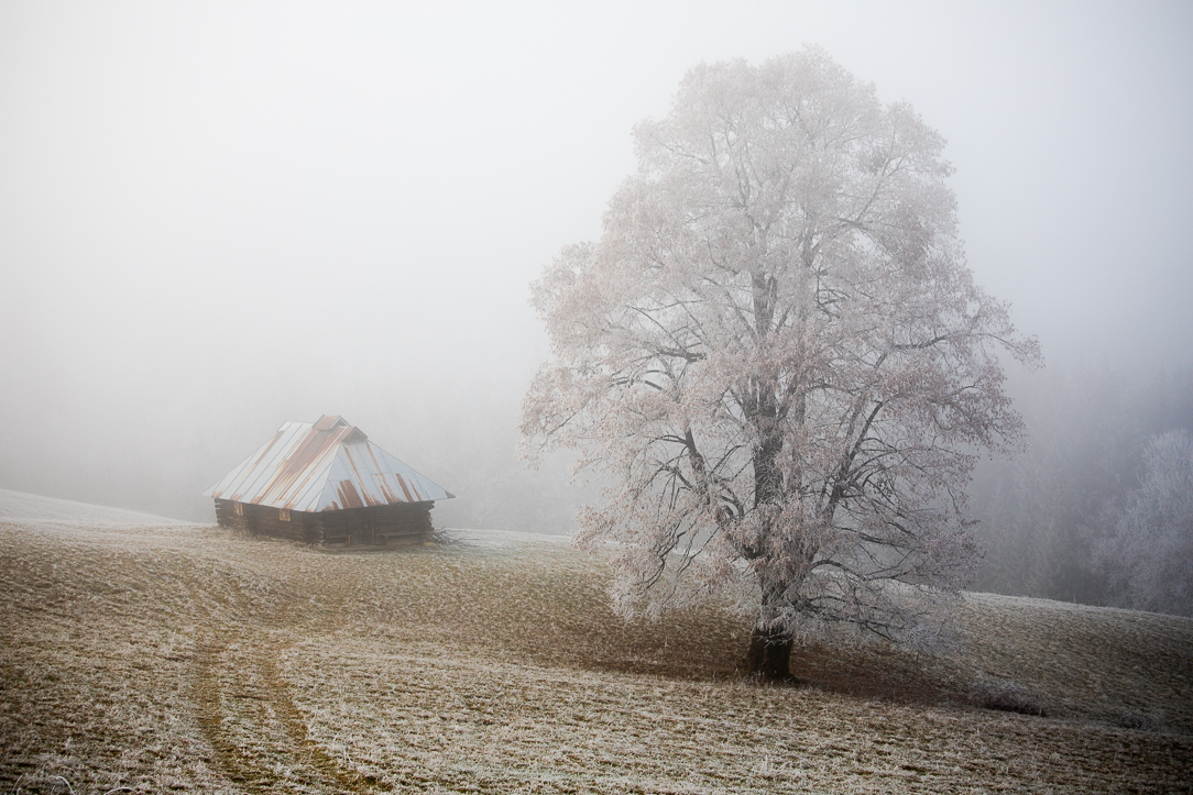 Příloha komentáře