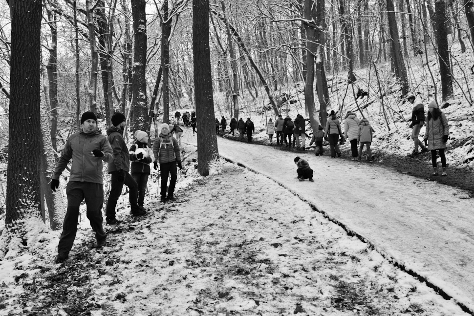 Příloha komentáře